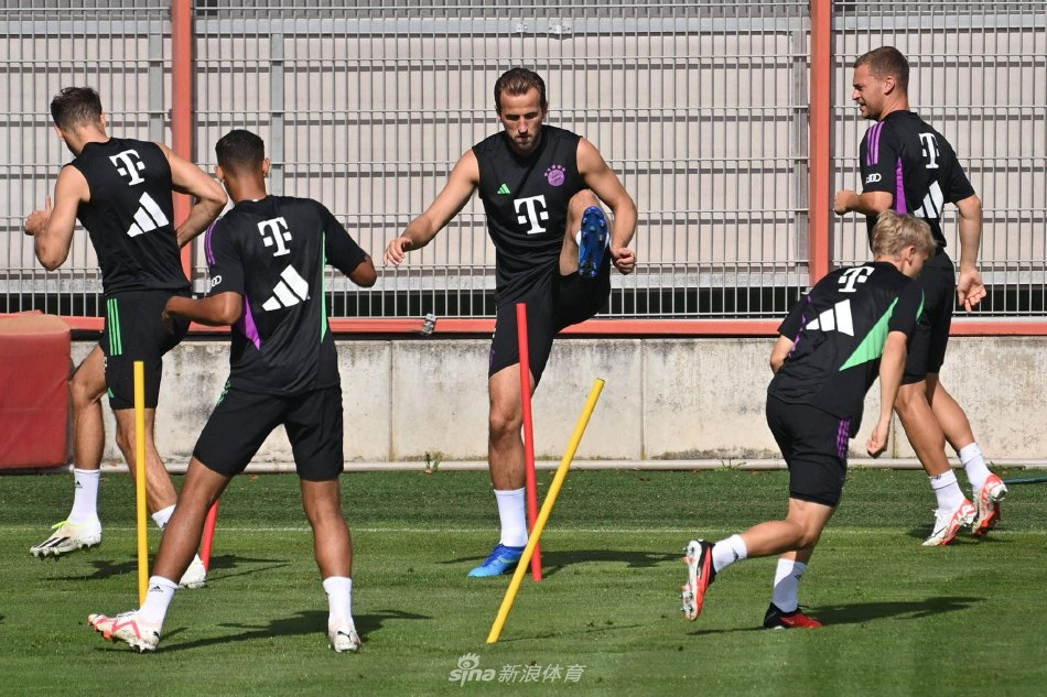 如何在逆境 如何在逆境