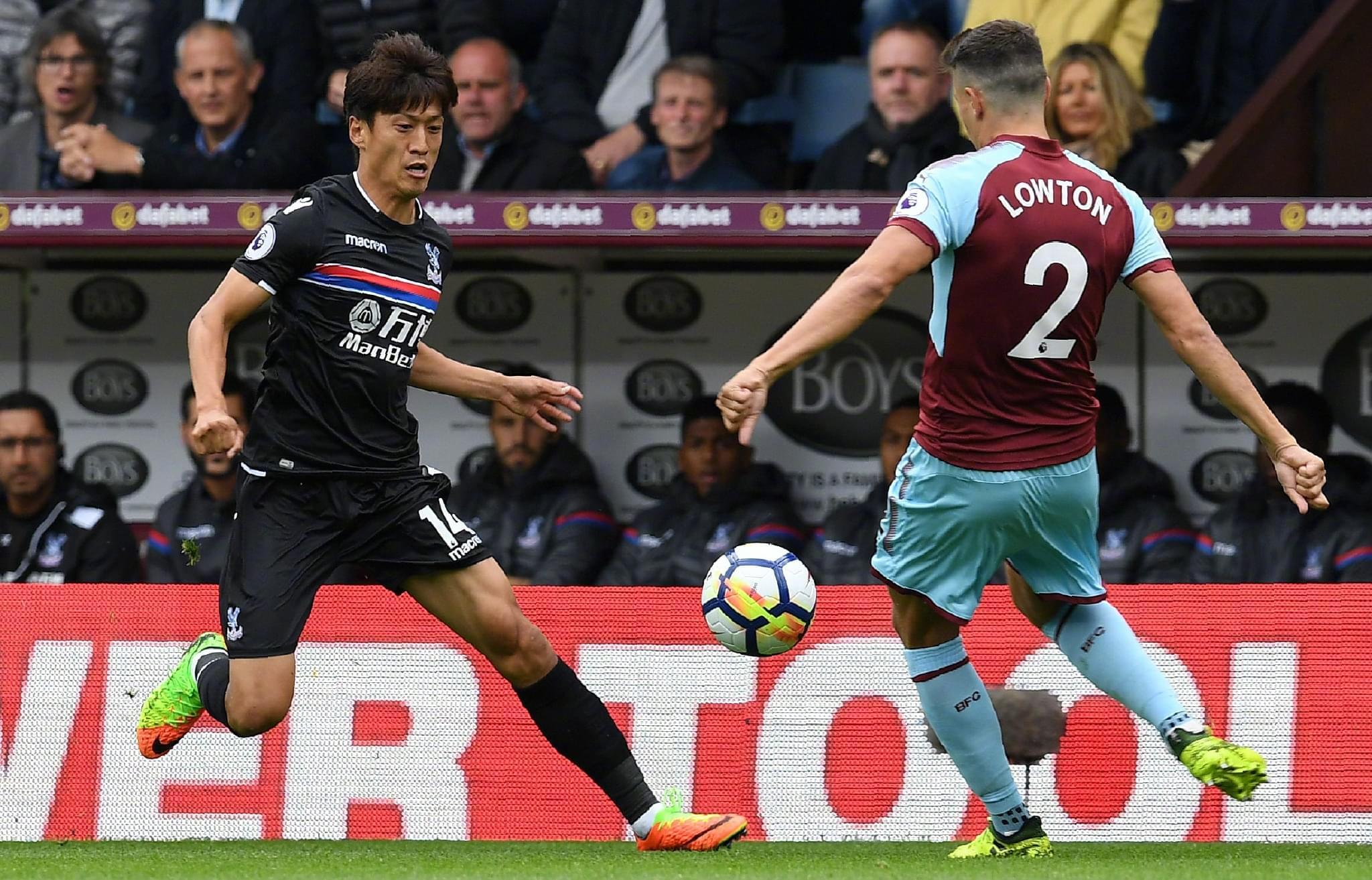 抗能力强 抗能力强